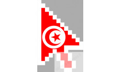 stickers /  autocollants curseur flèche Tunisien
