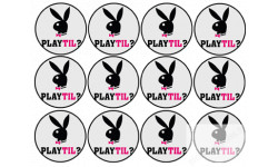 Playtil (12 fois 5cm) - Sticker/autocollant