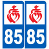 numero immatriculation 85 (Vendée)