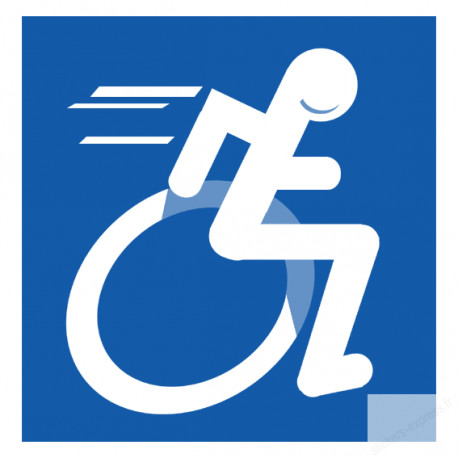Stickers / autocollant handicape Stickers / autocollant handicape