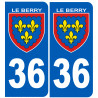 immatriculation Berry 36 (l'Indre) - Sticker/autocollant