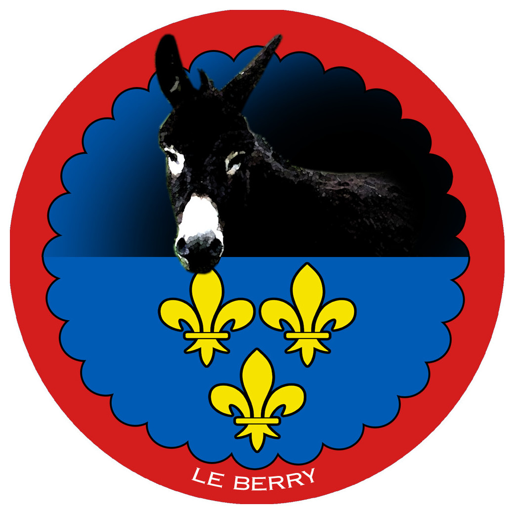 L'âne grand noir du Berry - 10 cm - Sticker/autocollant
