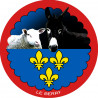 mouton Berrichon et L'âne grand noir du Berry - 20 cm - Sticker/autocollant