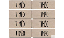 Prénom Timéo - 8 stickers de 5x2cm - Sticker/autocollant