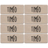 Prénom Timéo - 8 stickers de 5x2cm - Sticker/autocollant