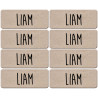 Prénom Liam - 8 stickers de 5x2cm - Sticker/autocollant