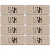 Prénom Liam - 8 stickers de 5x2cm - Sticker/autocollant