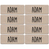 Prénom Adam - 8 stickers de 5x2cm - Sticker/autocollant