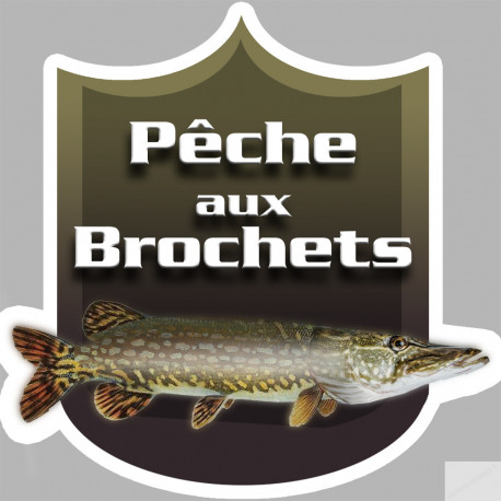 Pêche aux Brochets - 20x20cm - Sticker/autocollant