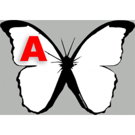 stickers autocollants "effet papillon A"