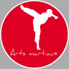 Arts martiaux karaté - 15cm - Sticker/autocollant