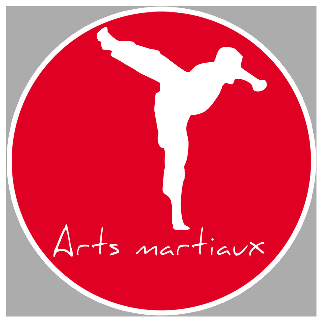 Arts martiaux karaté - 20cm - Sticker/autocollant
