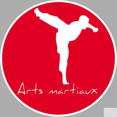 Arts martiaux karaté - 20cm - Sticker/autocollant