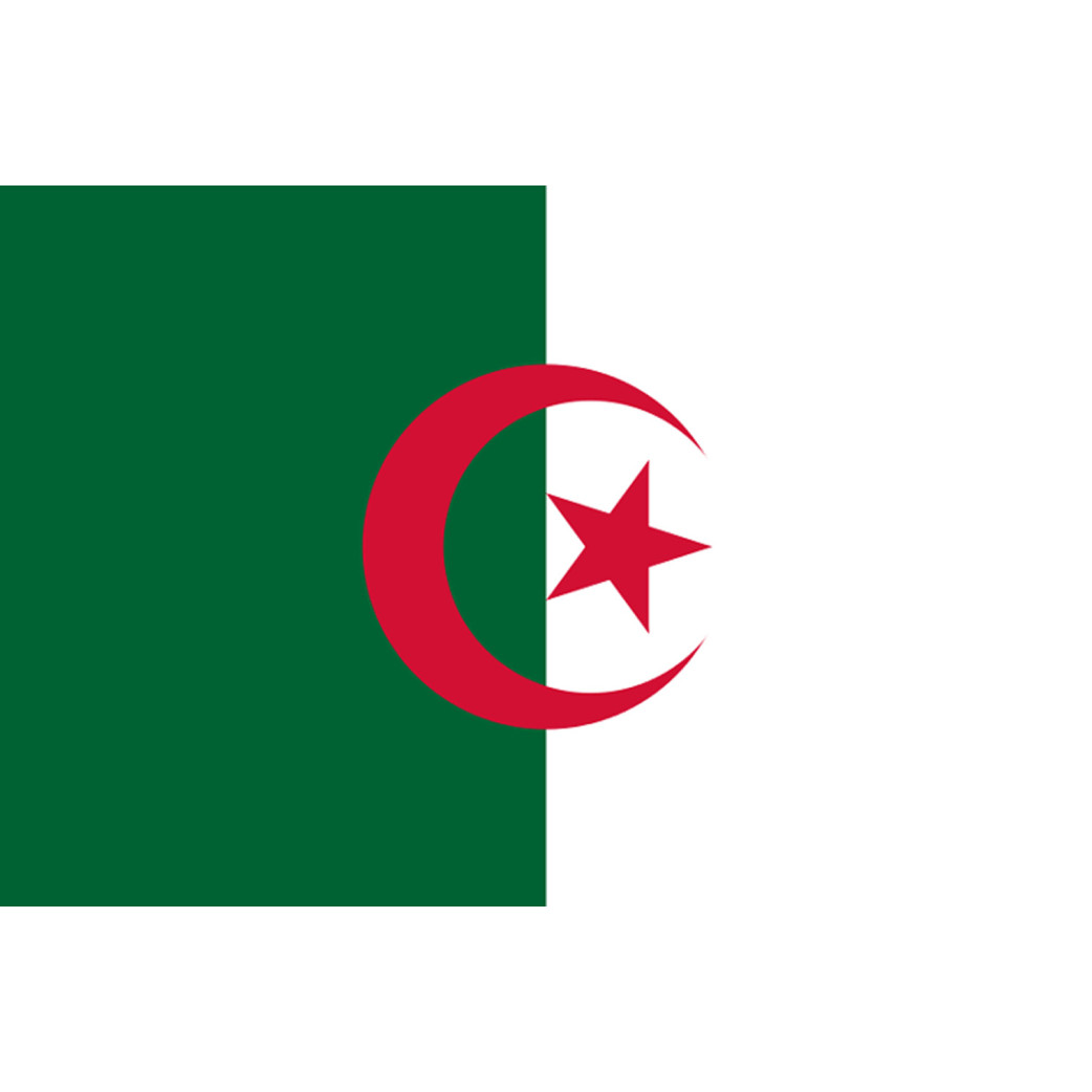 Drapeau Algérie - 15x10cm - Sticker/autocollant