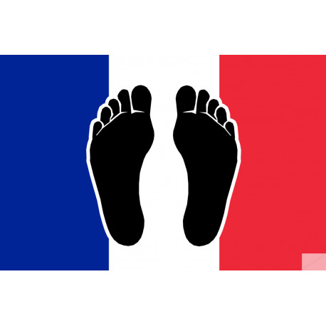 Pieds noirs drapeau Français - 5x3.3cm - Sticker/autocollant