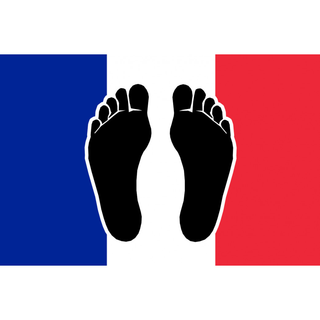 Pieds noirs drapeau Français - 10x6.5cm - Sticker/autocollant