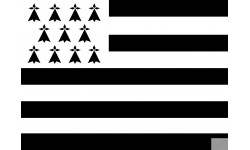 Drapeau Bretagne - 5x3.3cm - Sticker/autocollant