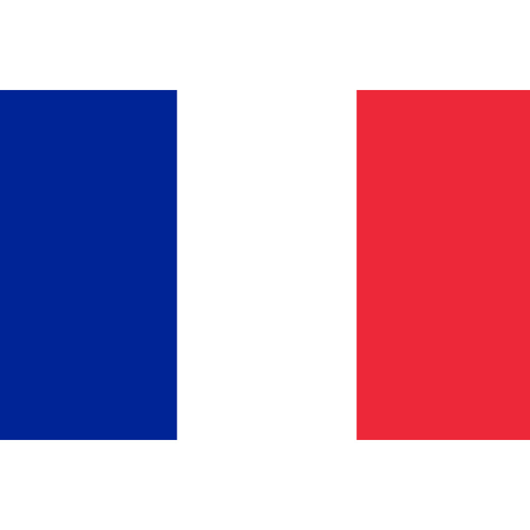 Drapeau France - 19.5x13cm - Sticker/autocollant
