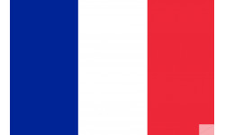 Drapeau France - 19.5x13cm - Sticker/autocollant