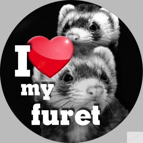 furet - 20cm - Sticker/autocollant