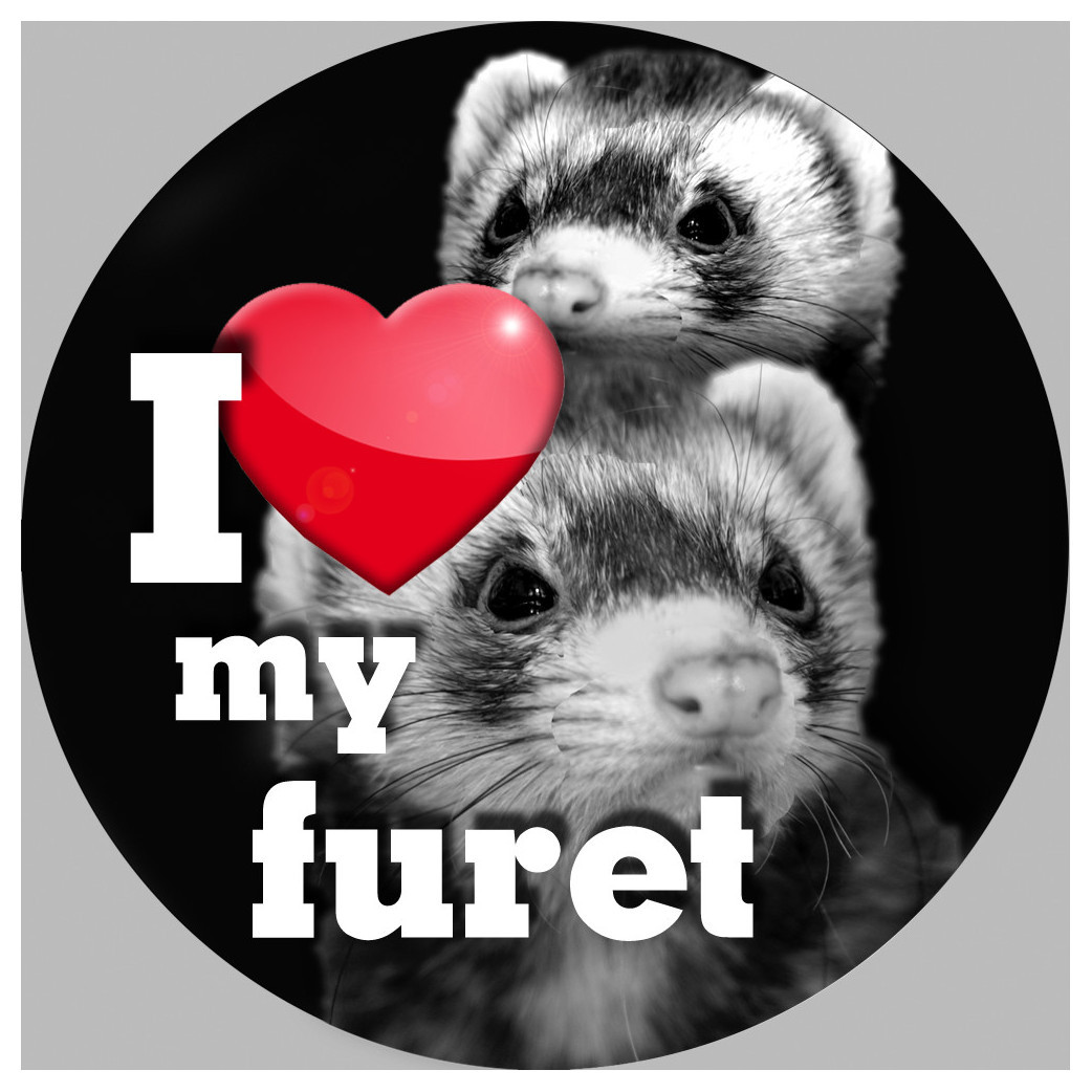 furet - 15cm - Sticker/autocollant