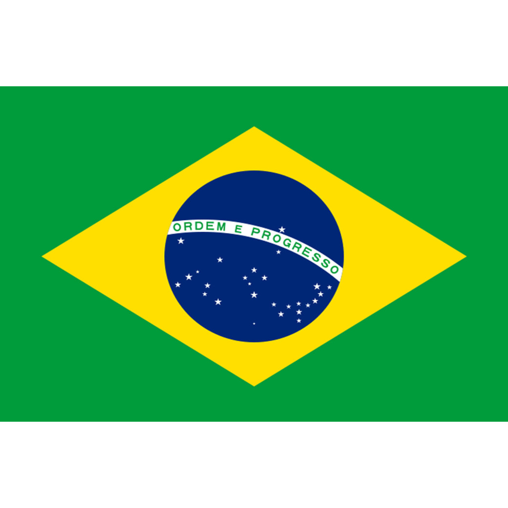 Drapeau Brésilien - 15x10 cm - Sticker/autocollant