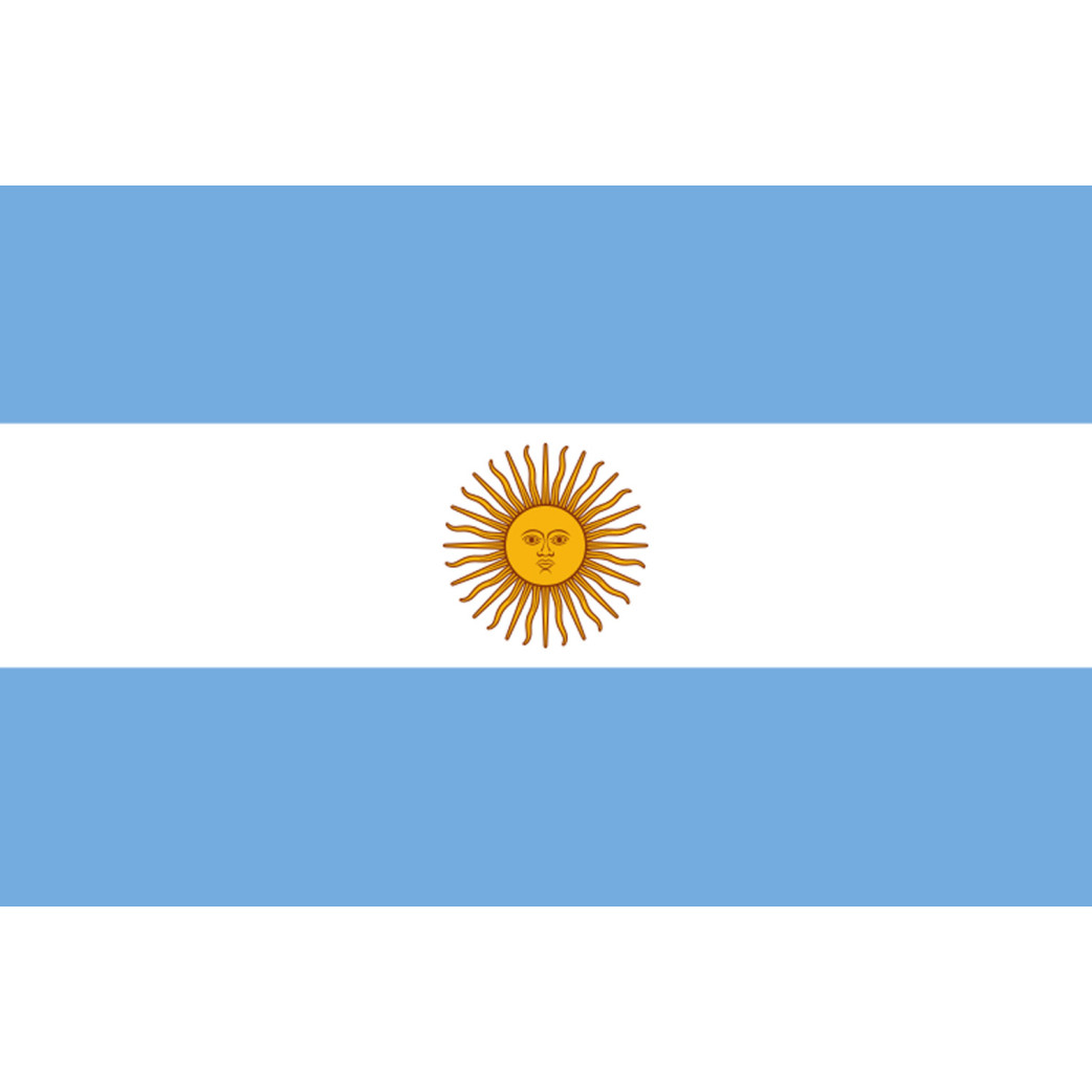 Drapeau Argentine - 19.5 x 13 cm - Sticker/autocollant