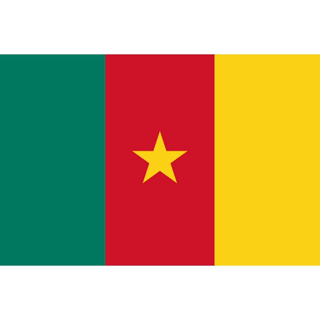 Drapeau Cameroun - 19.5 x 13 cm - Sticker/autocollant