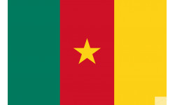Drapeau Cameroun - 19.5 x 13 cm - Sticker/autocollant