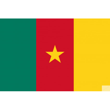 Drapeau Cameroun - 19.5 x 13 cm - Sticker/autocollant