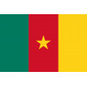 Drapeau Cameroun - 19.5 x 13 cm - Sticker/autocollant