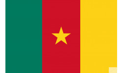 Drapeau Cameroun - 15 x 10 cm - Sticker/autocollant