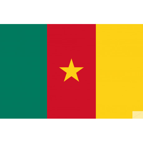 Drapeau Cameroun - 15 x 10 cm - Sticker/autocollant