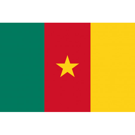 Drapeau Cameroun - 5 x 3,3 cm - Sticker/autocollant