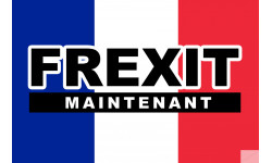 FREXIT - 29x19cm - Sticker/autocollant