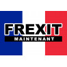 FREXIT - 20x13cm - Sticker/autocollant