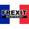 FREXIT (10x6,6cm) - Sticker/autocollant