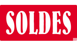 SOLDES R6 - 20x9cm - Sticker/autocollant
