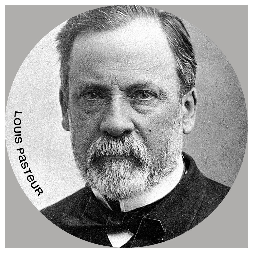Louis Pasteur (15x15cm) - Sticker/autocollant