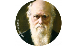 Charles Darwin (15x15cm) - Sticker/autocollant