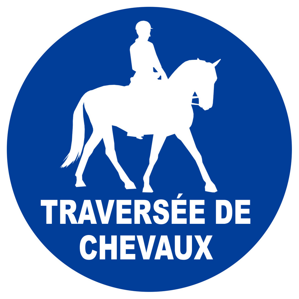 Traversée de chevaux - 20cm - Sticker/autocollant