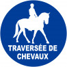 Traversée de chevaux - 15cm - Sticker/autocollant