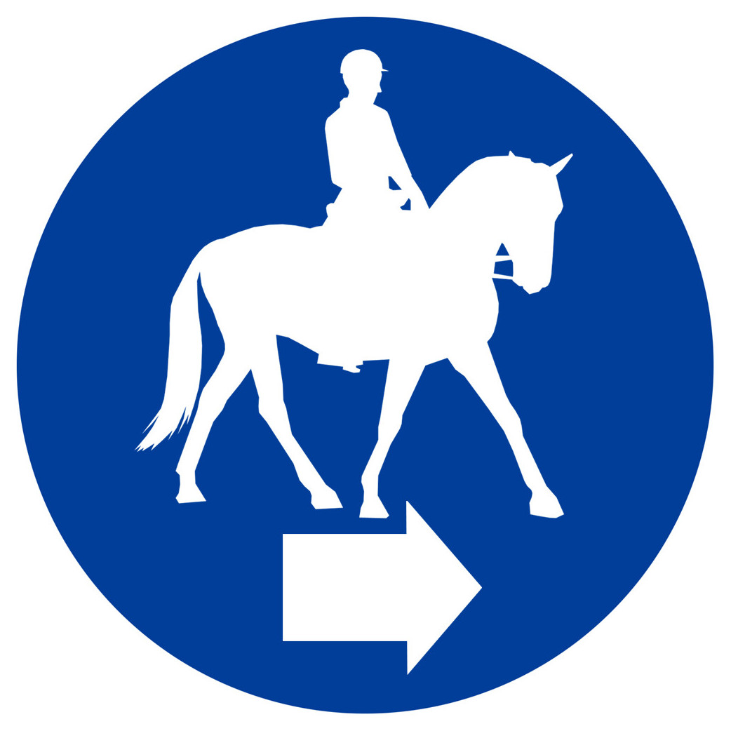 Cavalier directionnel droite - 20cm - Sticker/autocollant