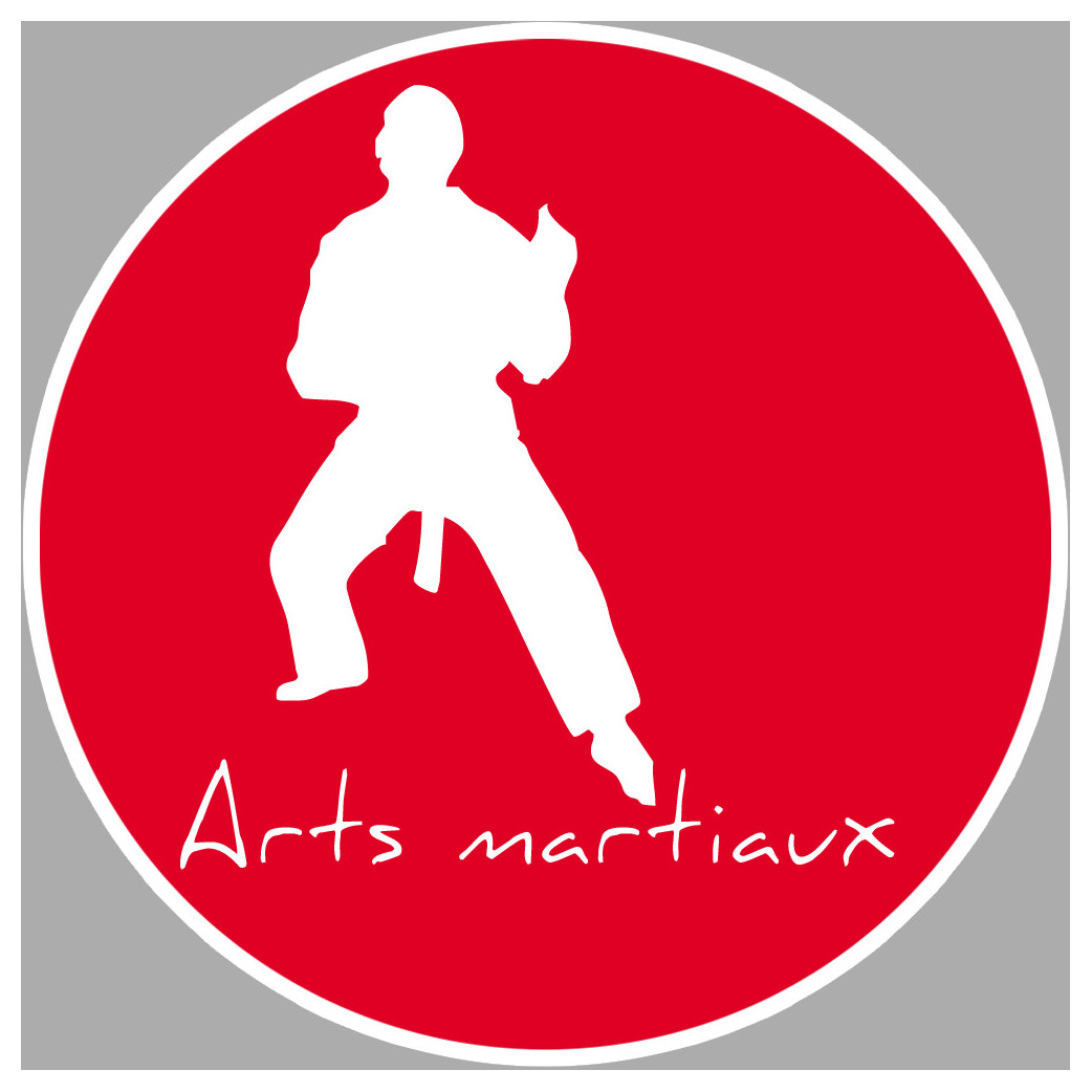 Arts martiaux 4 - 20cm - Sticker/autocollant