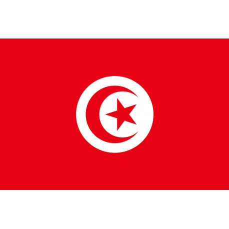 Sticker / autocollants : drapeau Algérien - 5cm