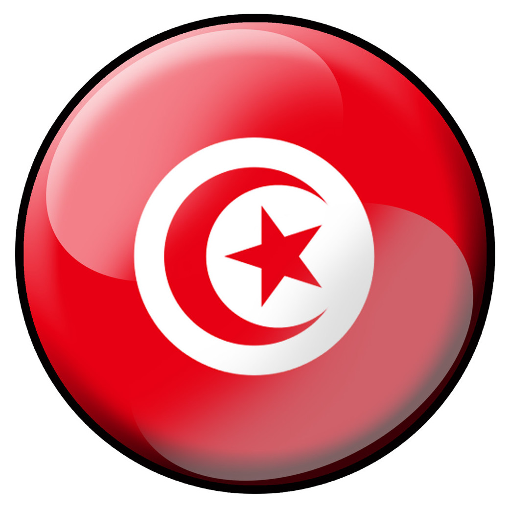drapeau Tunisien rond - 10cm - Sticker/autocollant