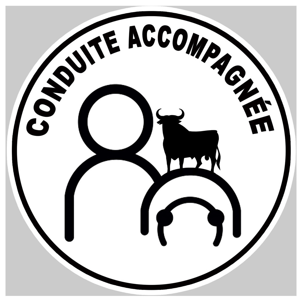 A espagnol toro - 15cm - Sticker/autocollant