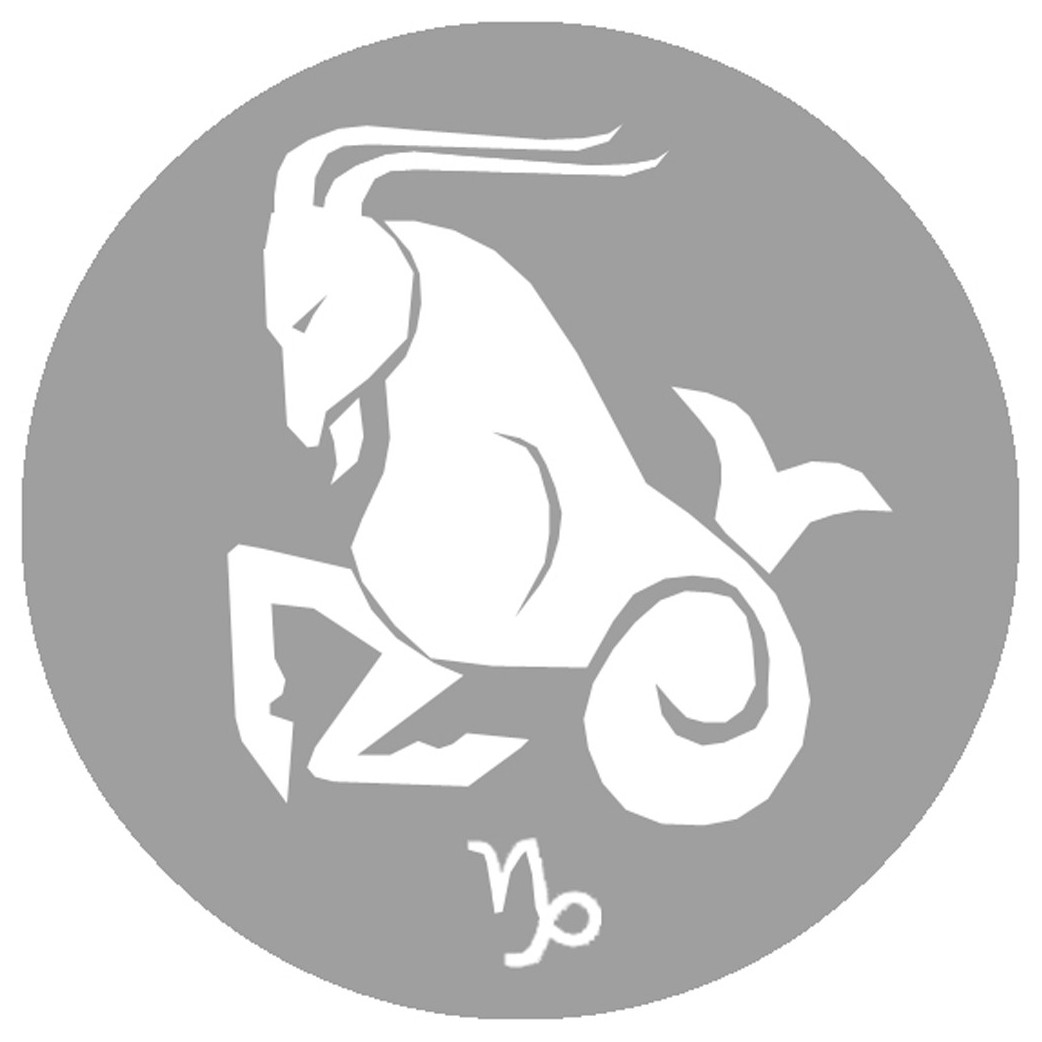 signe zodiaque capricorne rond - 10cm - Sticker/autocollant