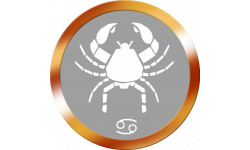 signe zodiaque scorpion rond doré - 8cm - Sticker/autocollant