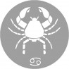 signe zodiaque scorpion rond - 8cm - Sticker/autocollant